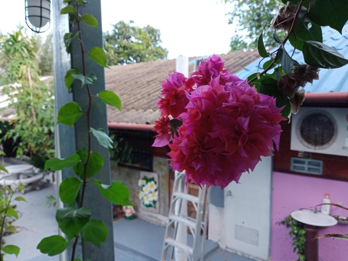 Comon Bungalow Haadchaophao Haad Chao Phao Exterior foto
